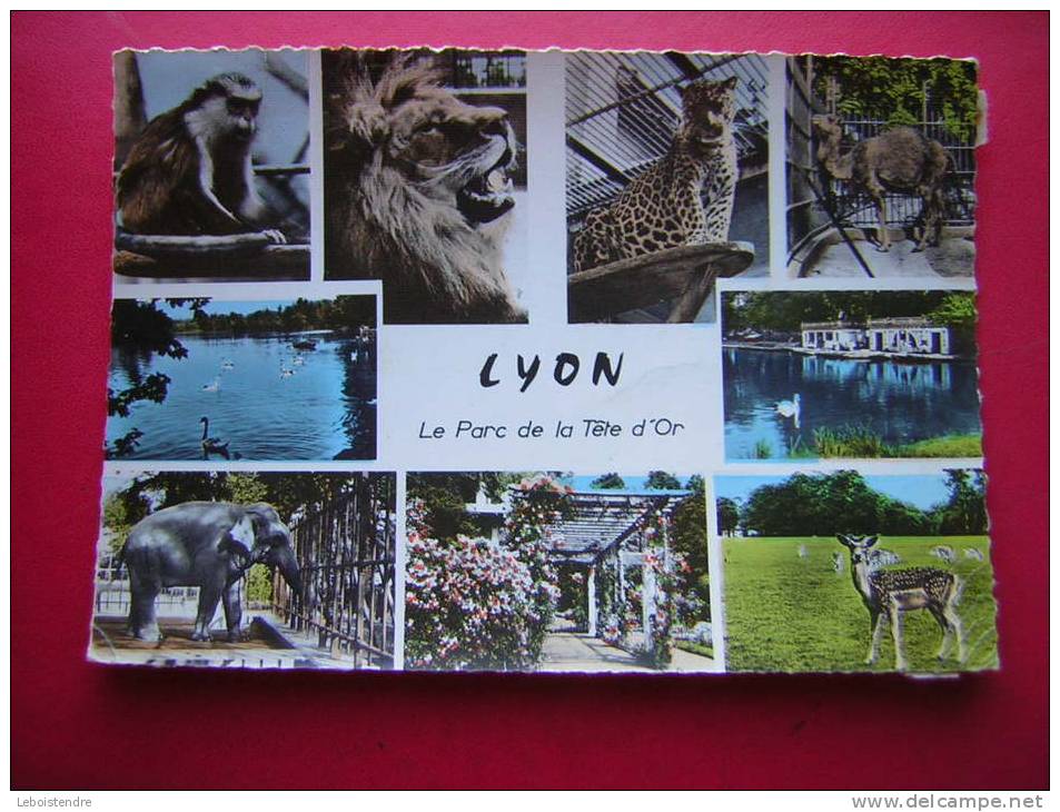 CPSM-69-LYON-LE PARC DE LA TETE D'OR-ANIMAUX-ELEPHANT-SINGE -LION-ETC- VOYAGE -PHOTO RECTO / VERSO- - Otros & Sin Clasificación