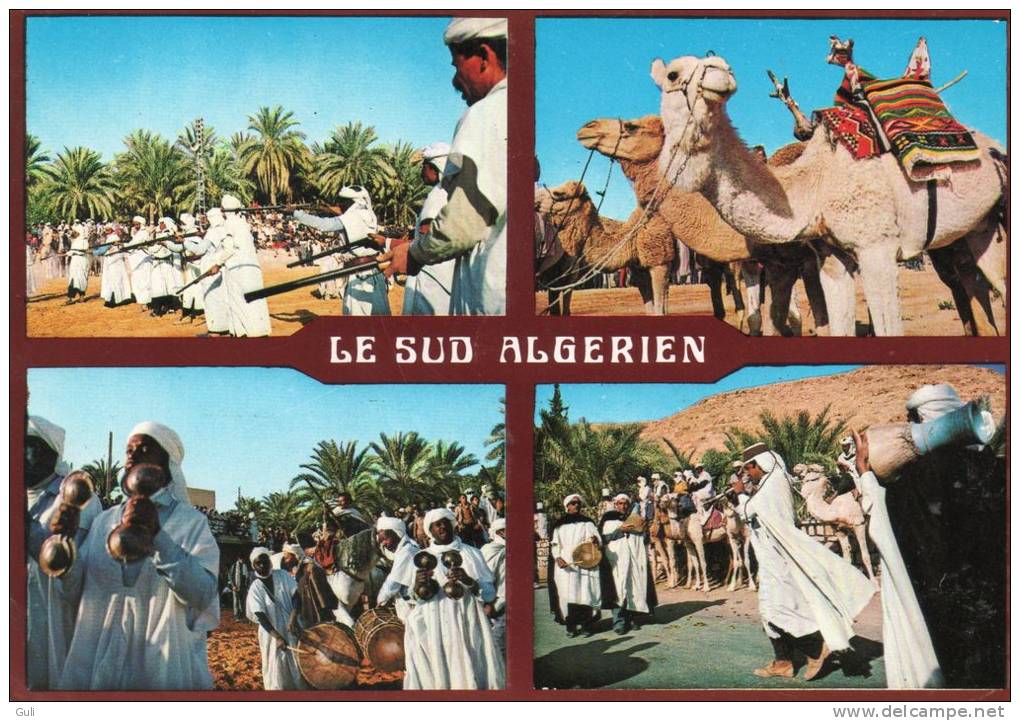 Algérie >(Ghardaïa) Sud Algérien- METLILI -  Fête Du Méhari-Mars 1983 Multi Vues   *PRIX FIXE - Ghardaïa