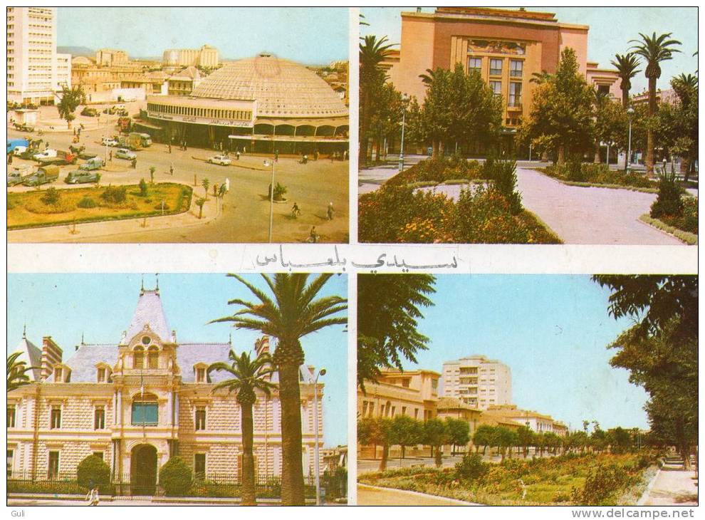 Algérie- Souvenir De Sidi-bel-Abbès - Multi Vues *PRIX FIXE - Sidi-bel-Abbès