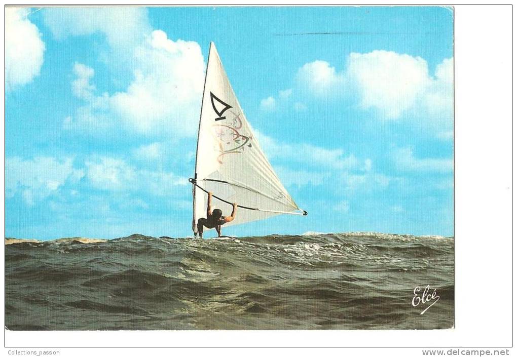 CP, Voile, Ecole Française De Surf à Voile, Professeur Patrick Ségalavitch, 1988, Voyagée - Sailing