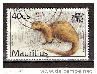 Timbre Maurice 1994 Y&T N°809 (5). Oblitéré. Mangouste. 40Cs. Cote 0.50 € - Maurice (1968-...)