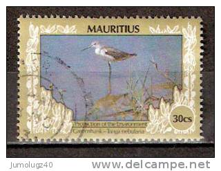 Timbre Maurice 1995 Y&T N°851 ? (3). Oblitéré. Greenshank-Tringa Nebularia. 30Cs. Cote 0.20 € - Maurice (1968-...)