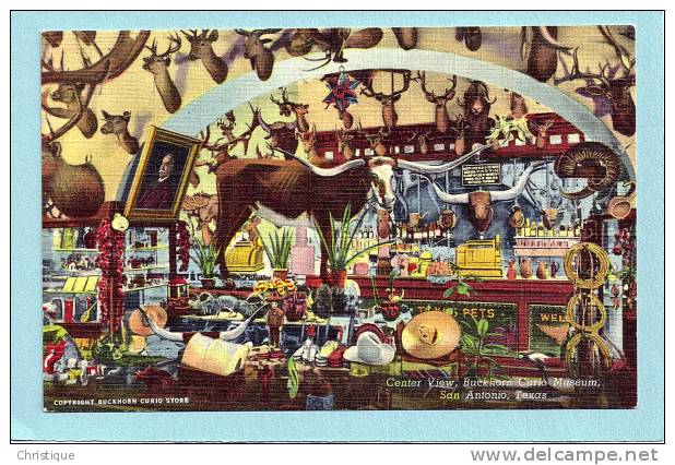 Center View, Buckhorn Curio Museum, San Antonio, TX. Postcard. 1920-30s - San Antonio
