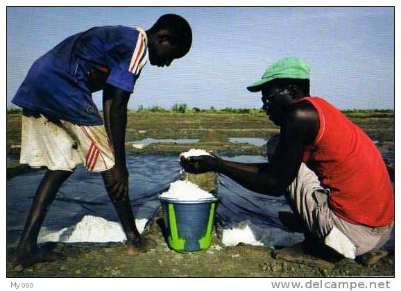 Guinee 2011 Marais Salants De Teneplan Dans La Zone De Douprou, Noveaux Regards Sur Le Sud Objectif Developpement - Guinea