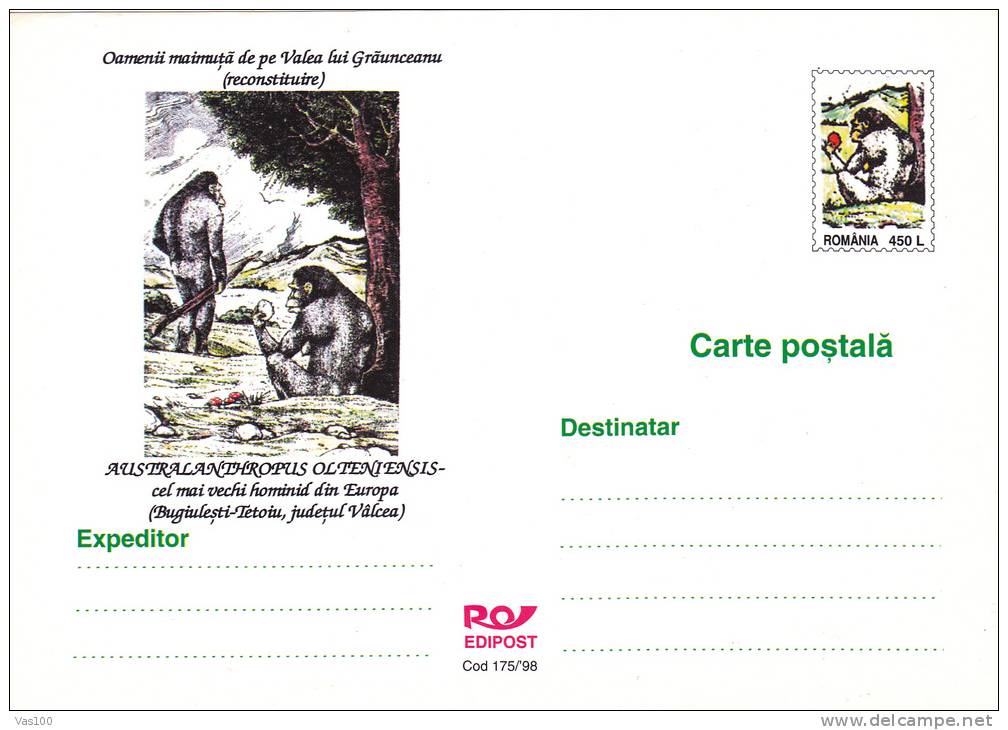 ENTIER POSTAL CARD HORMINE, - HOMINIM STATIONERY POSTCARD  UNUSED - PALEOANTHROLOGY - Prehistory