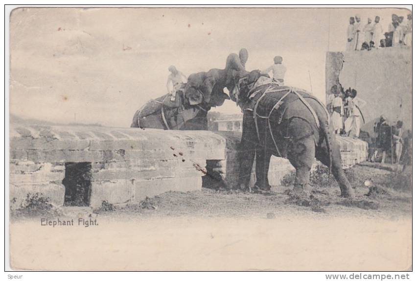 Elephant Fight With Spectators, Early 1900's. Postally Used, 1908, Undivided Back. - India