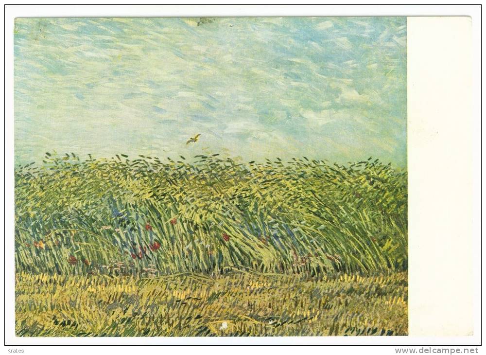 Postcard - Vincent Van Gogh    (V 6500) - Van Gogh, Vincent
