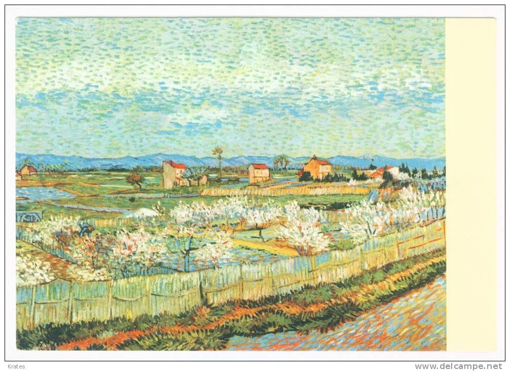 Postcard - Vincent Van Gogh    (V 6508) - Van Gogh, Vincent
