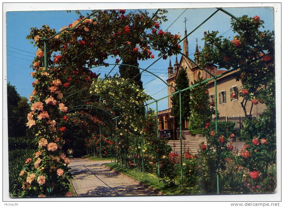 Flamme---1967--S.O.S  Amitié France- Secours Moral Par Téléphone" Sur Carte Postale  NICE Jardins Et Monastère De Cimiez - Autres & Non Classés