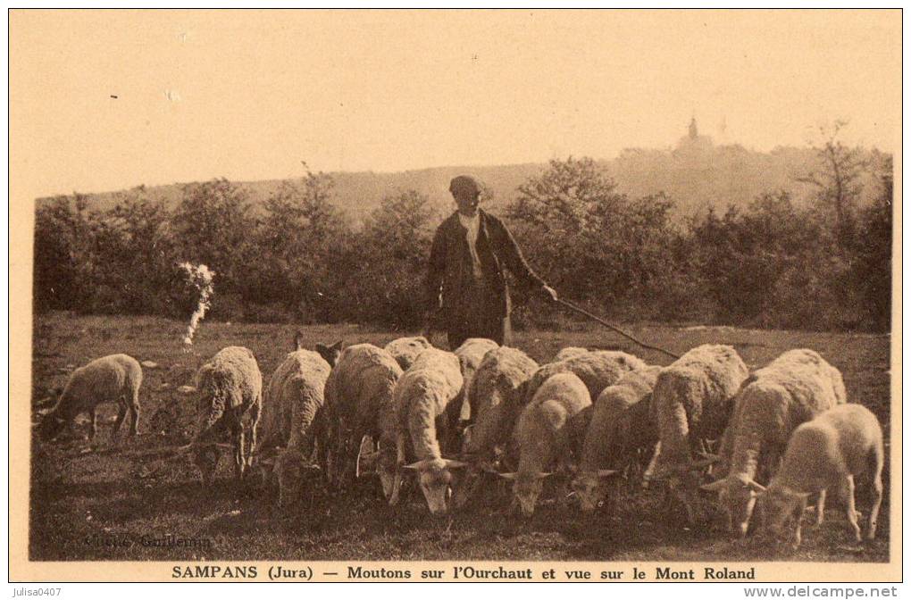 SAMPANS (39) Gardien De Moutons Gros Plan - Other & Unclassified