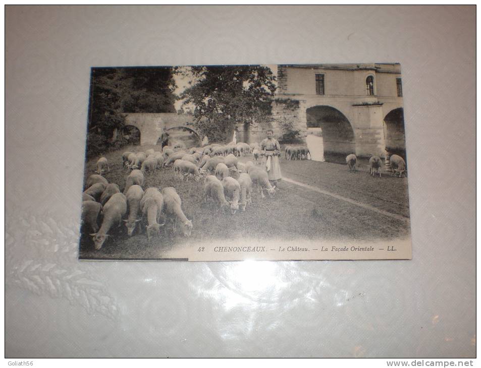 CPA De Chenonceaux - N°42 - Le Château - La Façade Orientale - LL - Bergère Et Ses Moutons - Chenonceaux