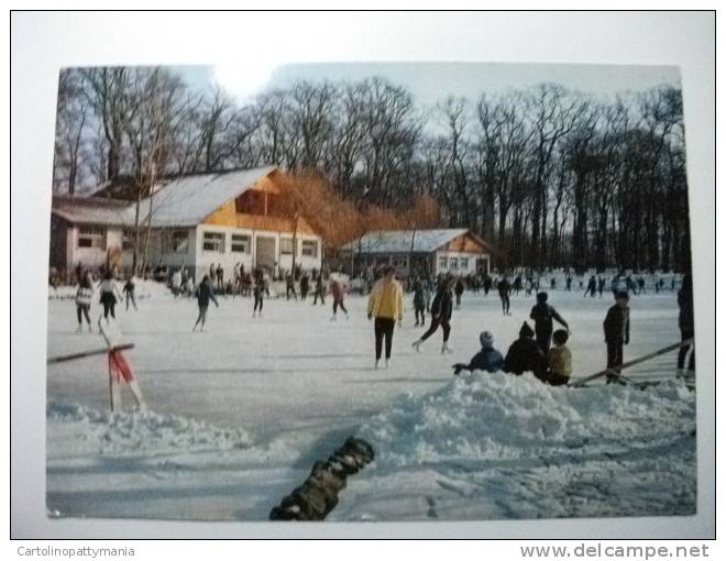 Pista Pattinaggio Patinoire De Sauvabelin Cafè Restaurant Du Lac De Sauvabelin  Svizzera - Cafes