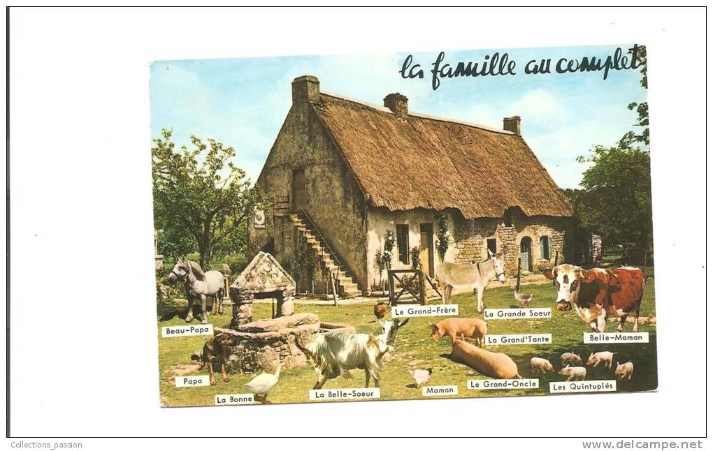 CP, Elevage, à La Ferme, La Famille Au Complet, 1981, Voyagée - Crías