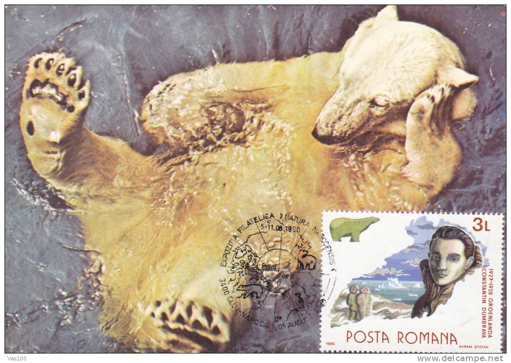ANTARCTICA WHITE BEAR,OURS 1990 CM,maxicard,cartes Maximum  - Romania. - Ours