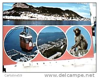 GIBILTERRA  GIBRALTAR VUES SCIMMIA  E FUNNVIA VB1986 DO4947 - Gibilterra