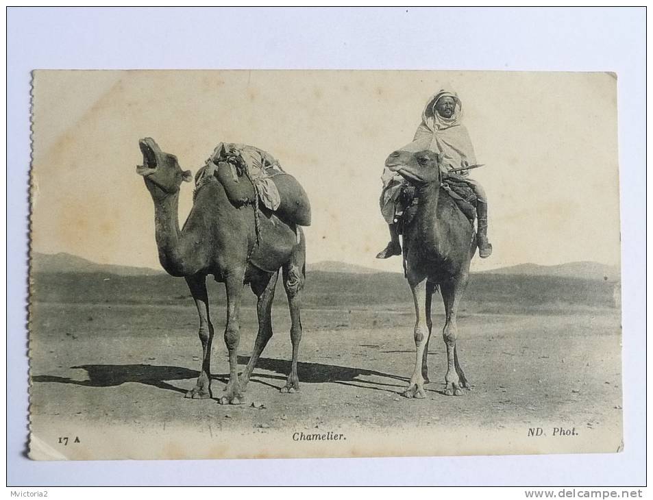 Le MAROC Illustré - Chamelier - Sonstige & Ohne Zuordnung