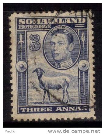 Somaliland Protectorate Used 1938, Portrait To Left, , Farm Animal, Sheep, 3a Bright Blue - Somaliland (Protectorat ...-1959)