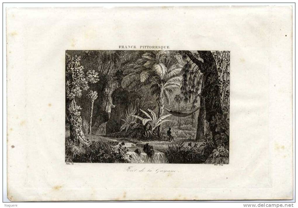 AUTHENTIQUE EAU FORTE 1835  -   FORET DE LA GUYANE   -  FRANCE PITTORESQUE - Estampes & Gravures