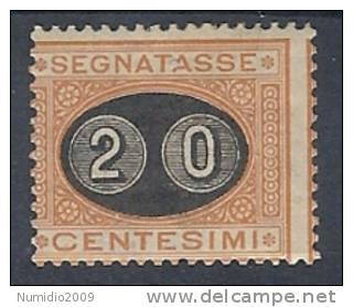 1890-91 REGNO SEGNATASSE MASCHERINA 20 CENT SU 1 CENT MH * - RR9625 - Strafport