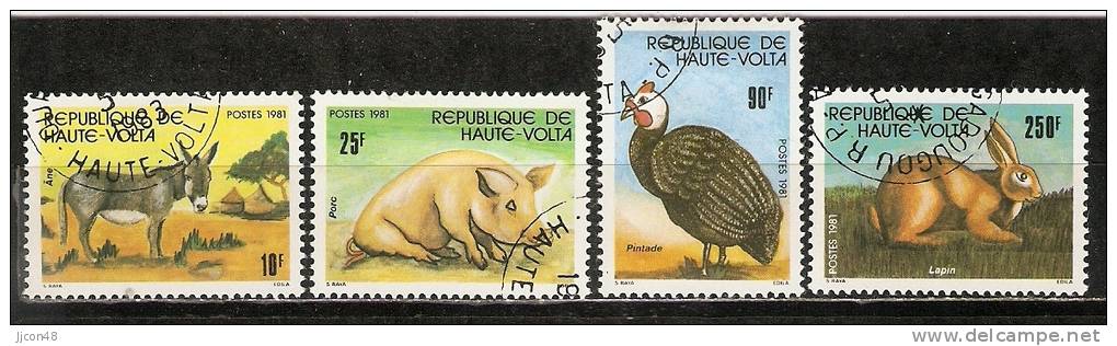 Haute Volta 1981  Stock Breeding  (o) - Upper Volta (1958-1984)