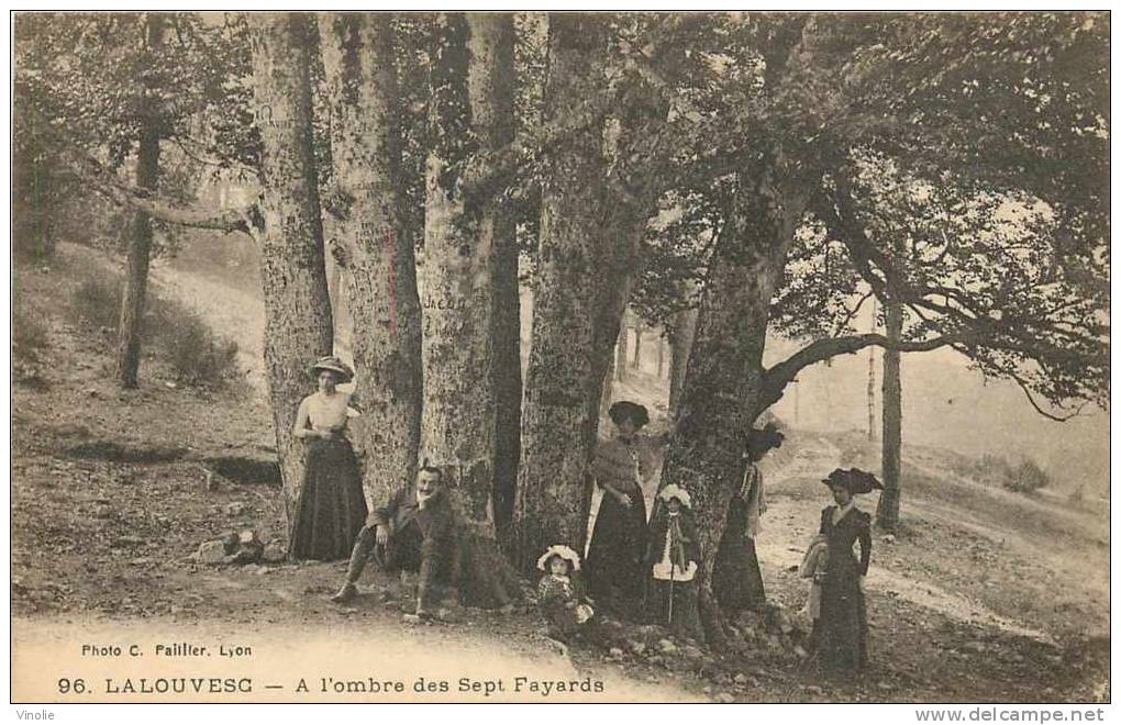 Ardèche : Réf : A -12-45 : La Louvesc  Les 7 Fayards (arbre Remarquable) - La Louvesc