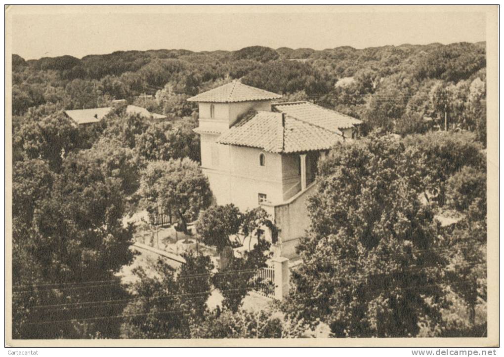 FREGENE. VILLINI. ELEGANTE CARTOLINA DEL 1942 - Fiumicino