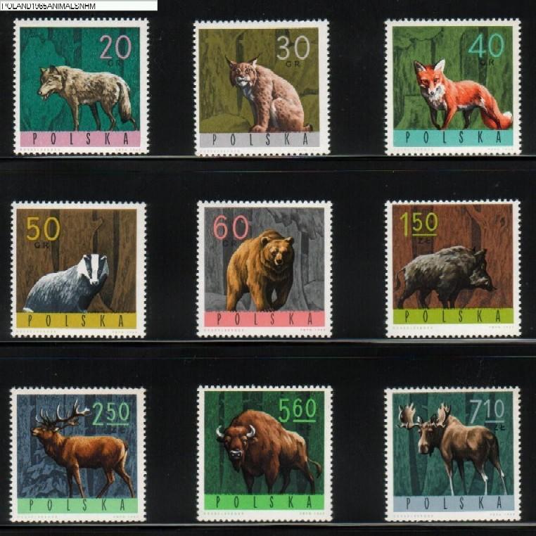 POLAND 1965 FOREST ANIMALS SET OF 9 NHM Wolf Lynx Fox Badger Bear Boar Wild Pig Deer Bison Moose Game - Animalez De Caza