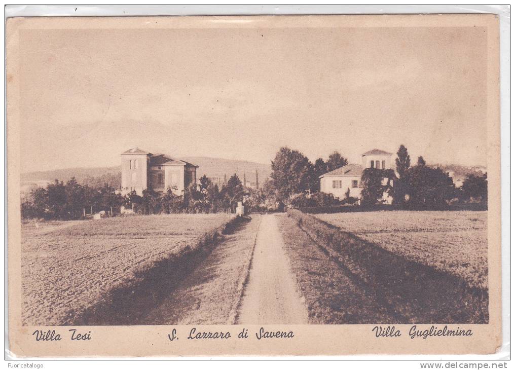 S.LAZZARO DI SAVENA (BOLOGNA) -VILLA TESI E VILLA GUGLIELMINA   -FG - Bologna