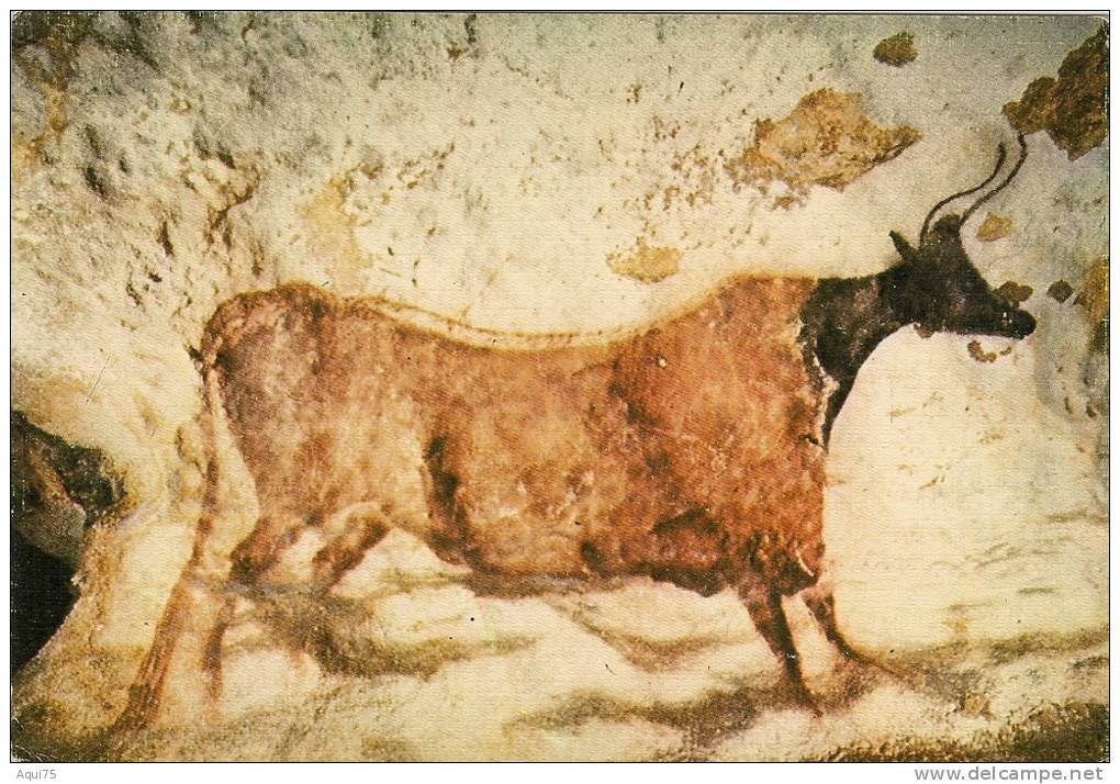 MONTIGNAC    Grotte Préhistorique De Lascaux .La Vache Rouge. - Autres & Non Classés