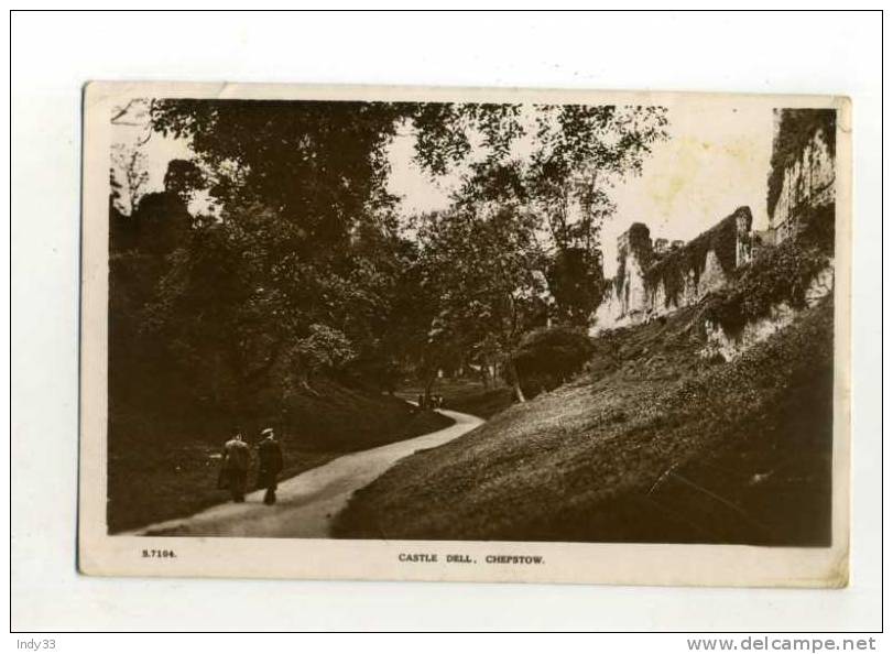 - PAYS DE GALLES . MONMOUTHSHIRE . CHEPSTOW . CASTLE DELL. - Monmouthshire