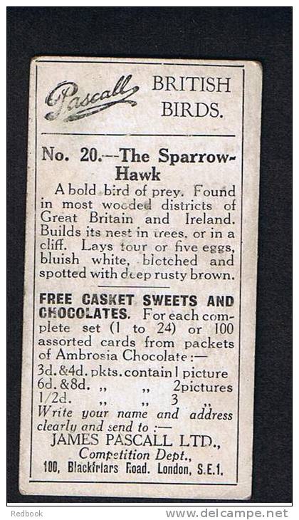 RB 816 - 1925  James Pascall Cigarette Type Trade Card - British Birds No. 20 The Sparrow Hawk - Autres & Non Classés