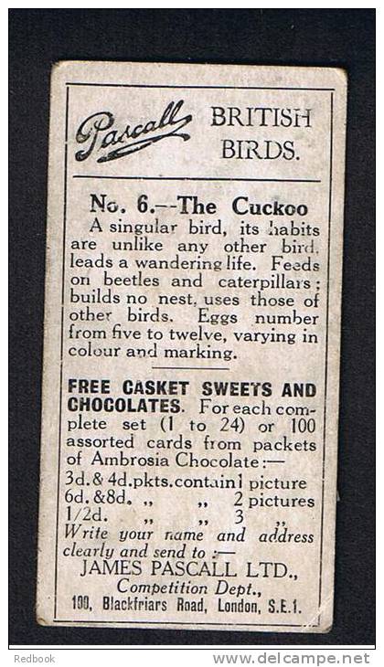 RB 816 - 1925  James Pascall Cigarette Type Trade Card - British Birds No. 6 The Cuckoo - Other & Unclassified