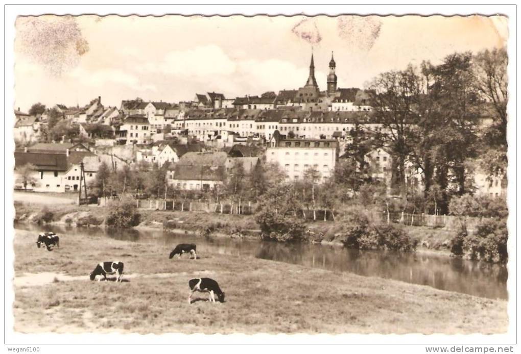 DDR Sachsen, Waldenburg Gel., VKV Reichenbach Nr. 14/1866, EVP - DM - Waldenburg (Sachsen)