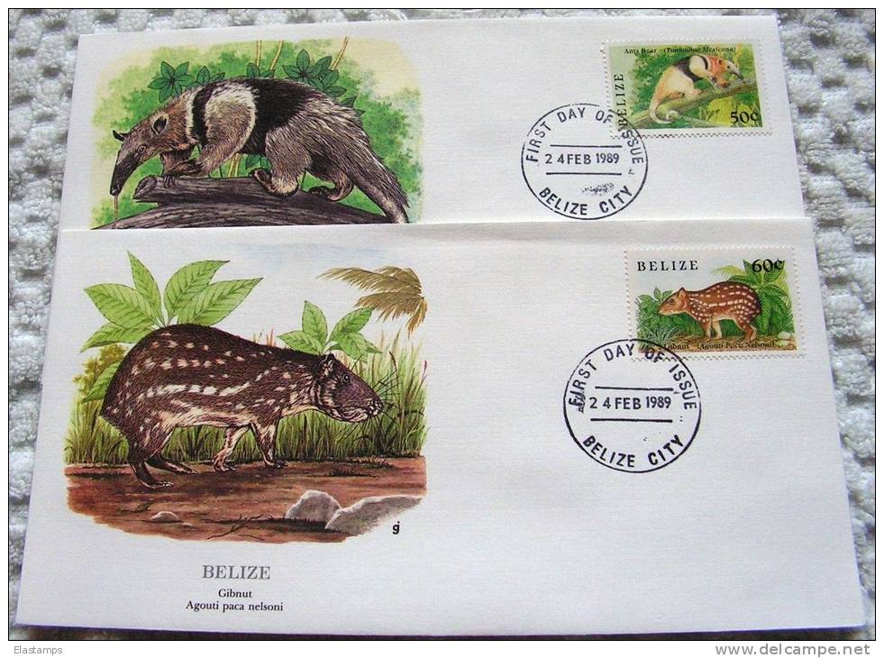 == Belize , Tiere FDC 1989 WWF - Belize (1973-...)