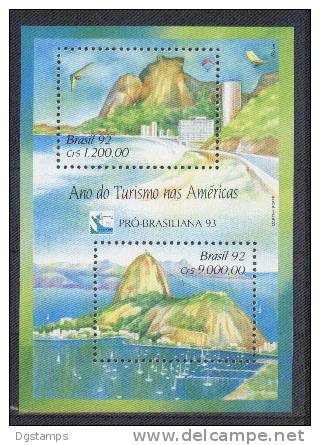 Brasil 1992 BF90 ** Año Del Turismo En Las Americas. Playa Pepino, Cerro Pan De Azucar. Brasiliana'93 - Blocchi & Foglietti