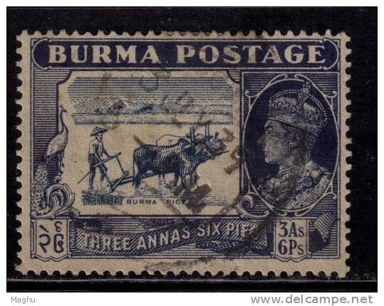 Burma Used 1938, 3a 6p KGVI, Burma Rice, Agriculture View, Cow Animal - Burma (...-1947)