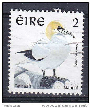 Ireland 1997 Mi. 1017 A     2 (P) Bird Vogel Basstölpel Gannet - Usati