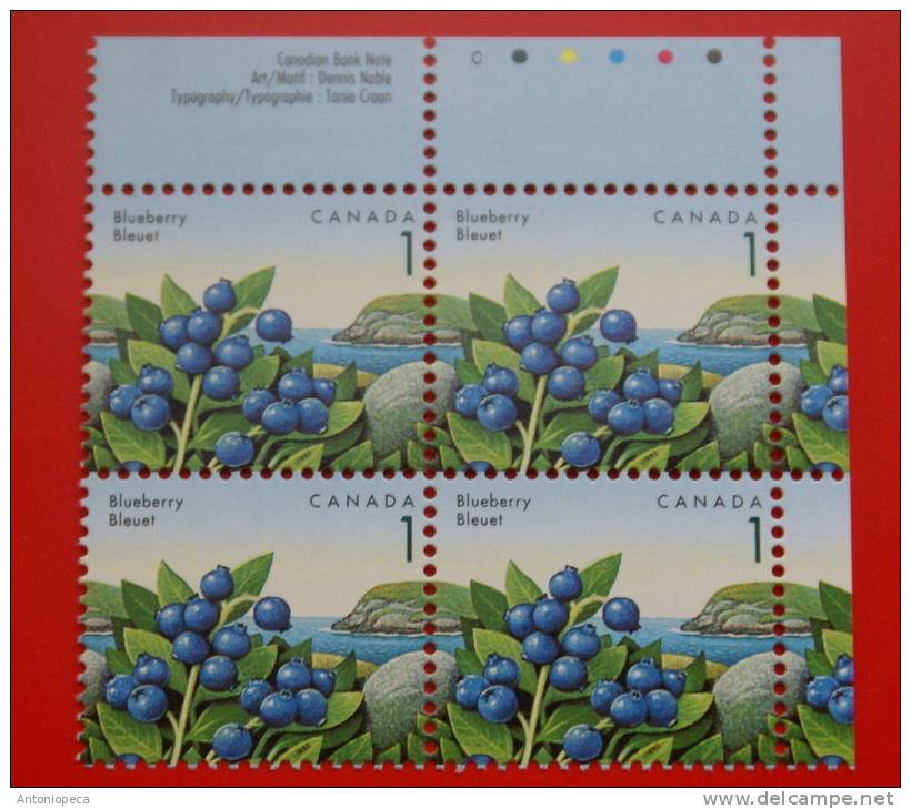 CANADA 1991 BLUEBERRY  BLOCK MNH** - Neufs