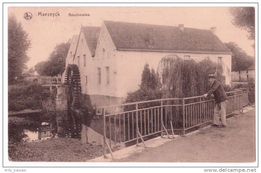 MAESEYCK   Boschmolen - Maaseik