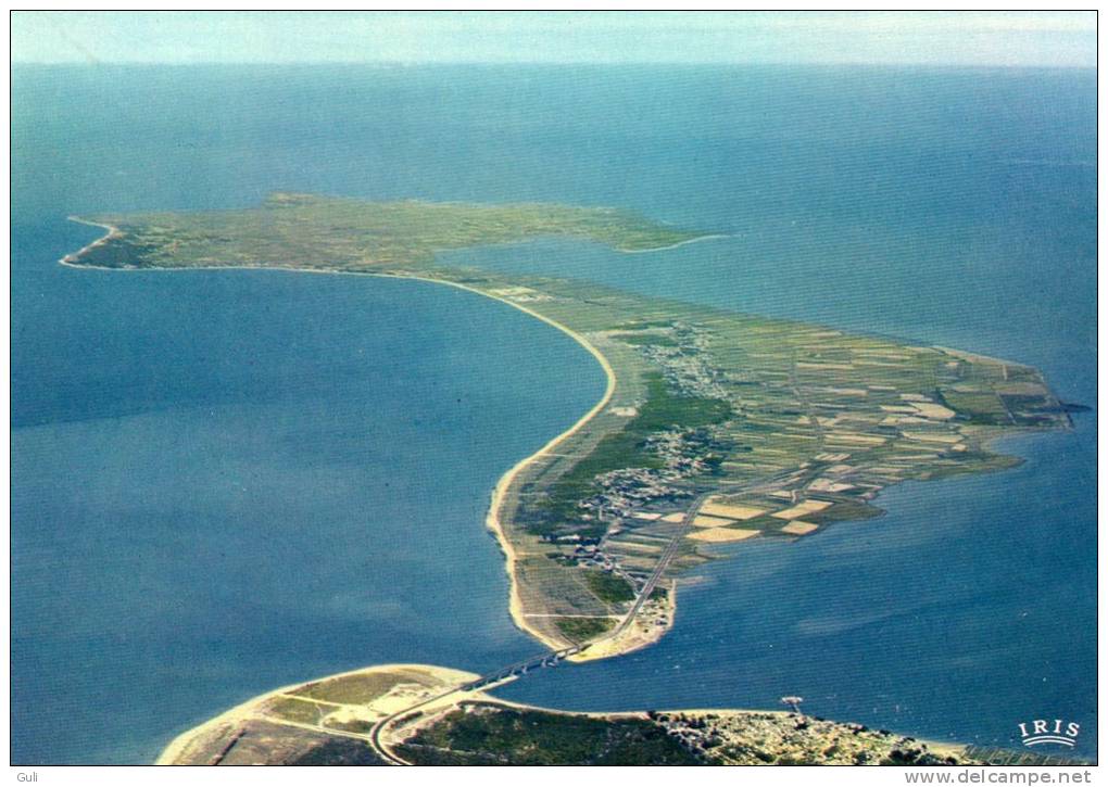 [85] Vendée > Vues Du Ciel -Fromentine Et L' Ile De Noirmoutier Reliées Par Le Nouveau Pont (2) Année 1981 *PRIX FIXE - Ile De Noirmoutier