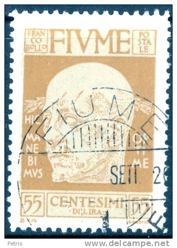 Fiume 1920 D'Annunzio 55c Usato - Lot. 19b - Fiume