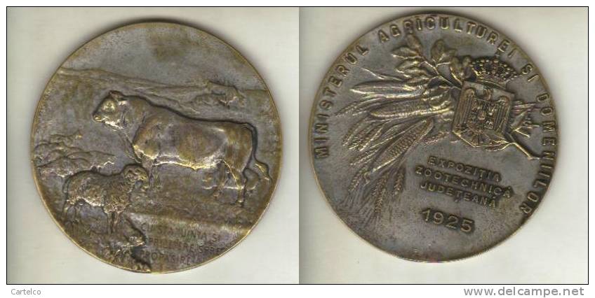 Romania Old Medal 1925 - Royaux / De Noblesse