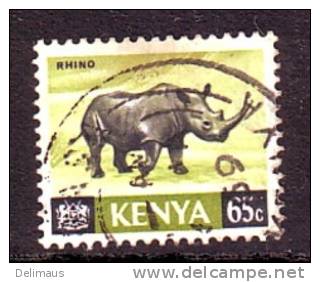 Kenia Säugetiere Spitzmaul-Nashorn Diceros Bicornis - Rhinoceros