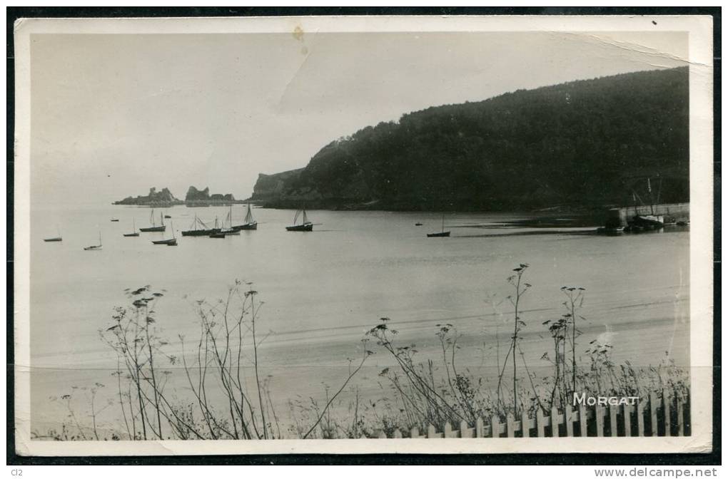 MORGAT - La Pointe De Gador - Belle Promenade Au Bois De Pins - Morgat