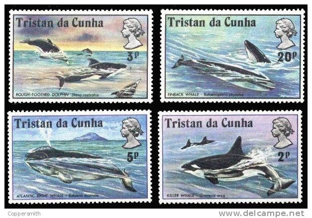 (004) Tristan Da Cunha  Marine Mammals / Whales / Baleines / Wale    ** / Mnh  Michel 202-05 - Tristan Da Cunha