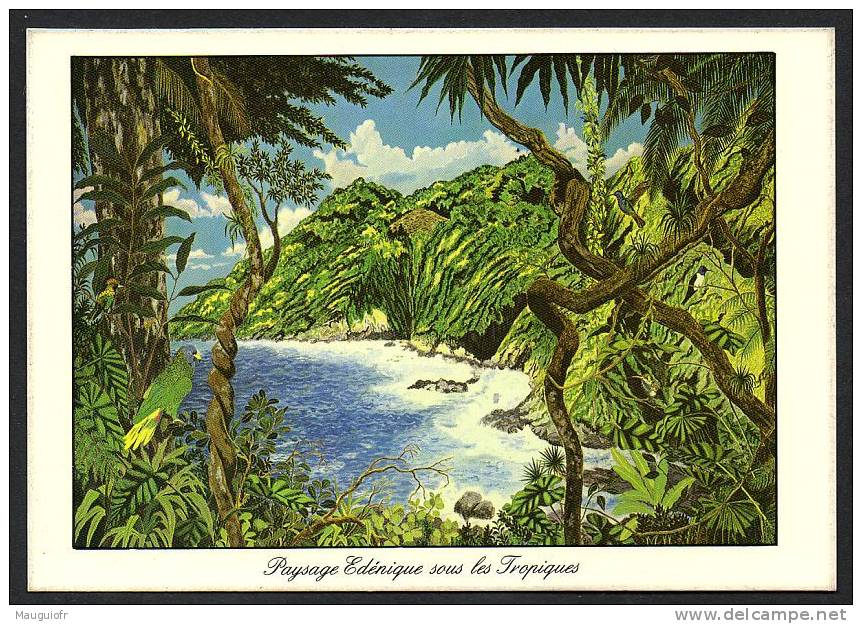 DF / ANTILLES / GUADELOUPE ET MARTINIQUE / PAYSAGE EDENIQUE SOUS LES TROPIQUES - Other