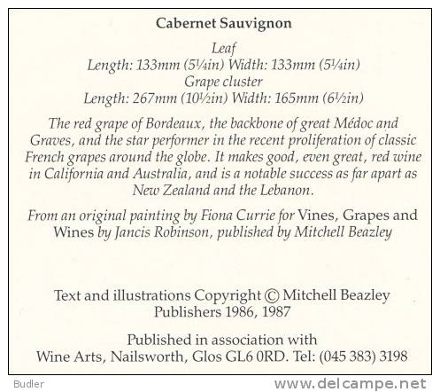 Carte Double Neuve / Nieuwe Dubbele Kaart : ## CABERNET SAUVIGNON ## : DRUIF,RAISIN,GRAPE,WIJN,VIN,WINE, - Vignes