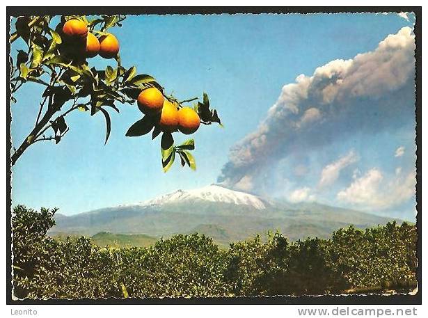 Esplosione Dell'Etna Sicilia Siracusa 1964 - Catania