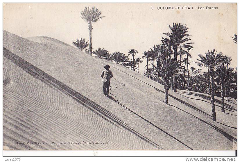 COLOMB BECHAR / LES DUNES / ANIMEE - Bechar (Colomb Béchar)