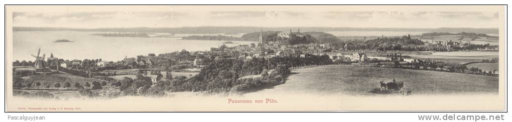 CPA PLON - PANORAMA - CARTE TRIPLE - Plön